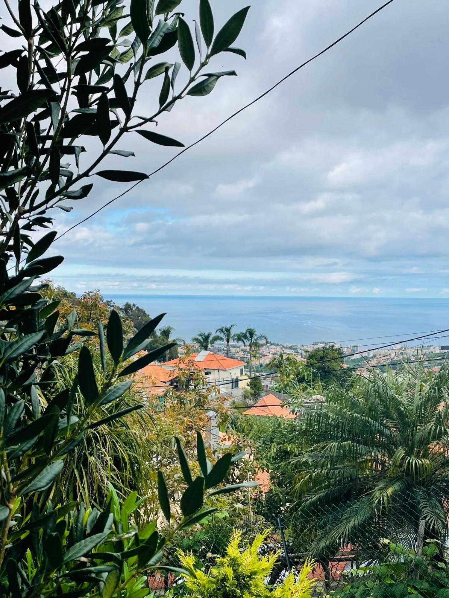 Cozy House Hotel Funchal  Exterior foto