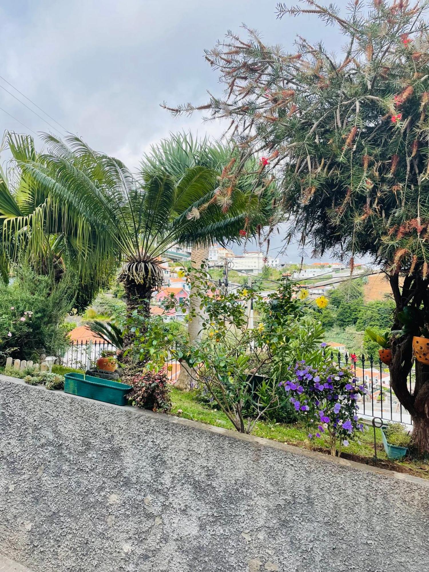 Cozy House Hotel Funchal  Exterior foto