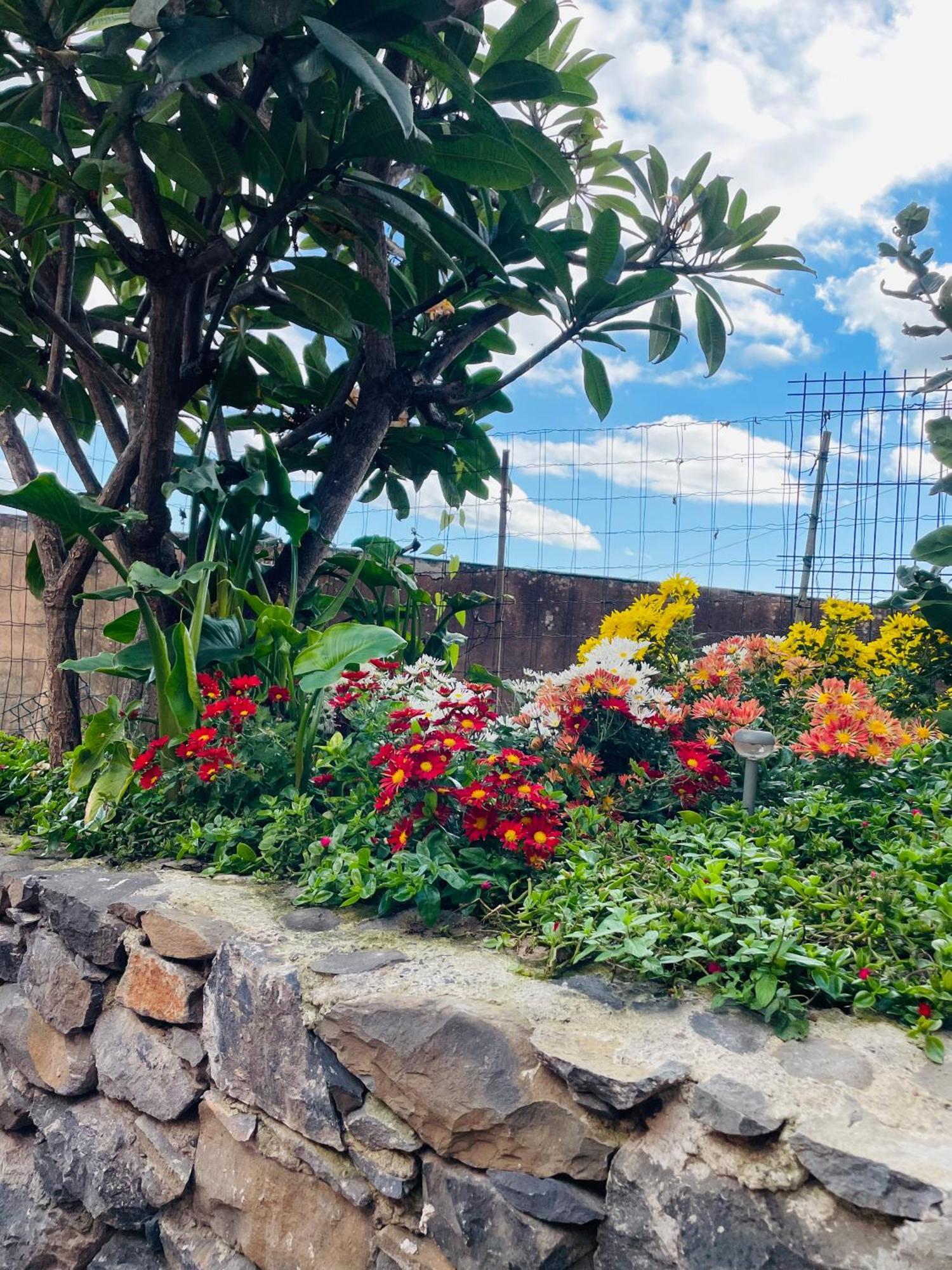 Cozy House Hotel Funchal  Exterior foto